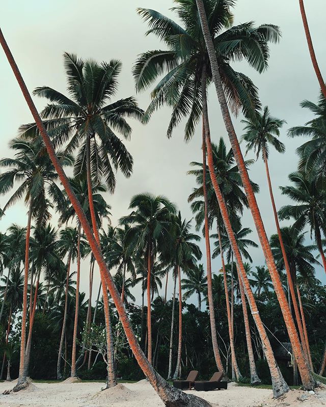 640px x 799px - Behind the Scenes in Fiji - A Bikini A Day + Namale Resort