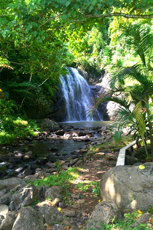 500px x 750px - Fiji Waterfalls - Namale Resort & Spa