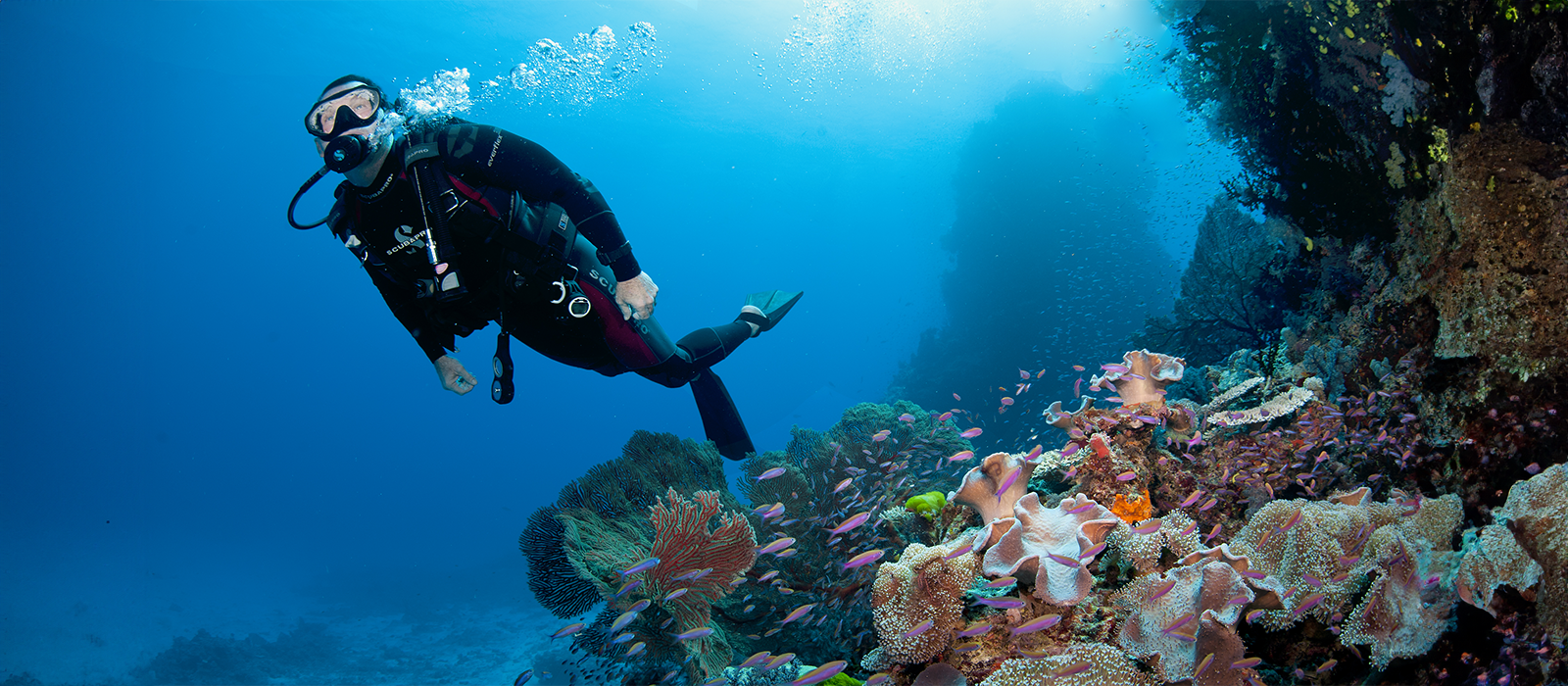 Diving at Savusavu Namale